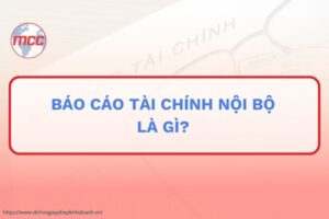 báo cáo tài chính nội bộ