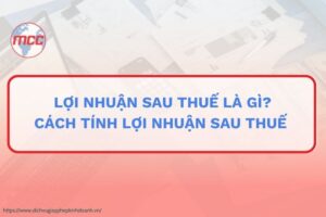 lợi nhuận sau thuế