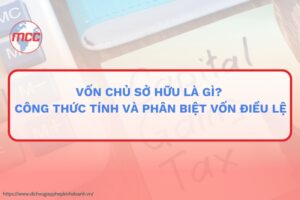 vốn chủ sở hữu